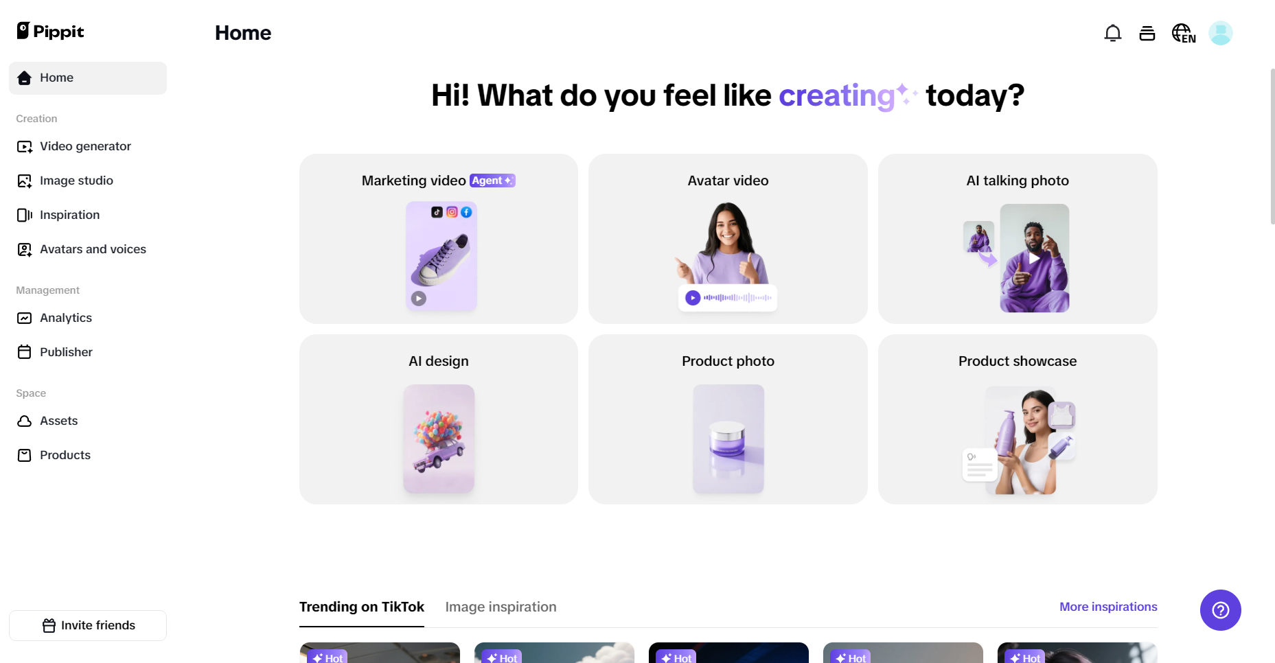 Pippit interface
