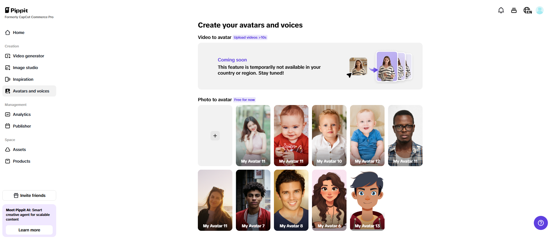 Avatars and voices