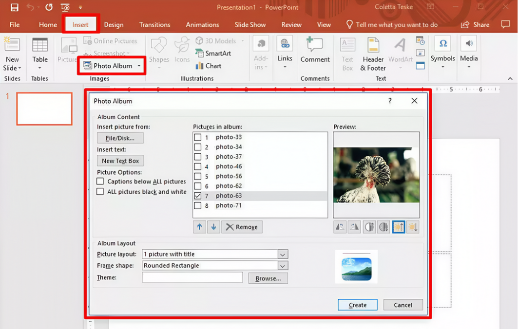 Insert the pictures in the slides