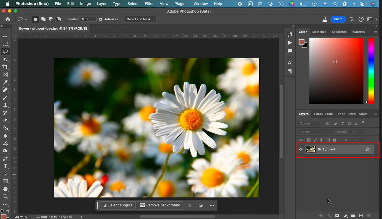 Convierte la capa de imagen en objeto inteligente en Photoshop