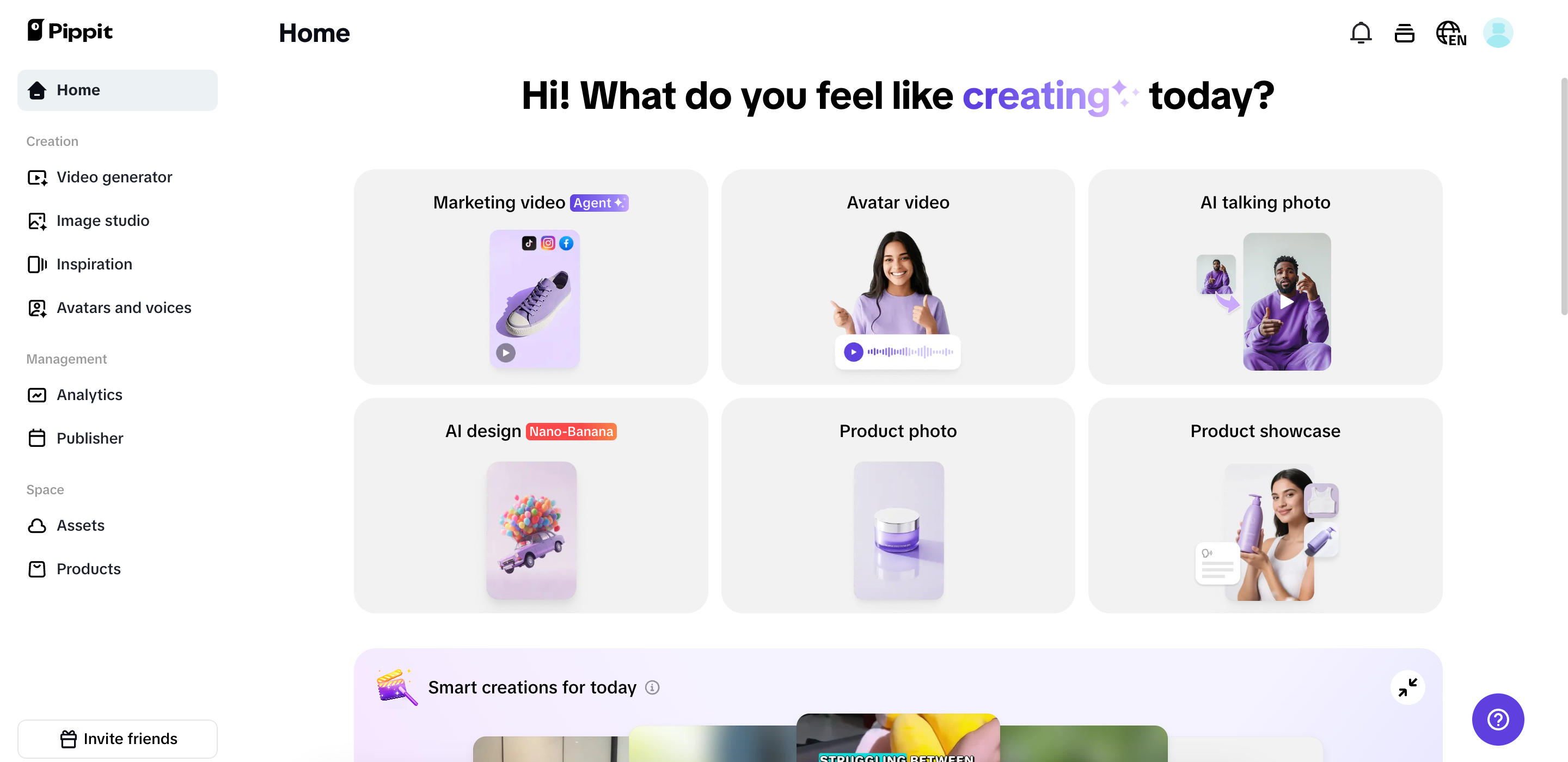 Pippit interface