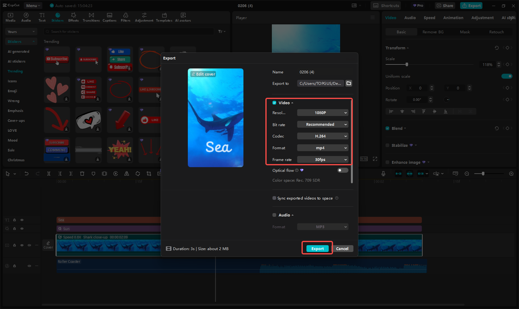 Export the video