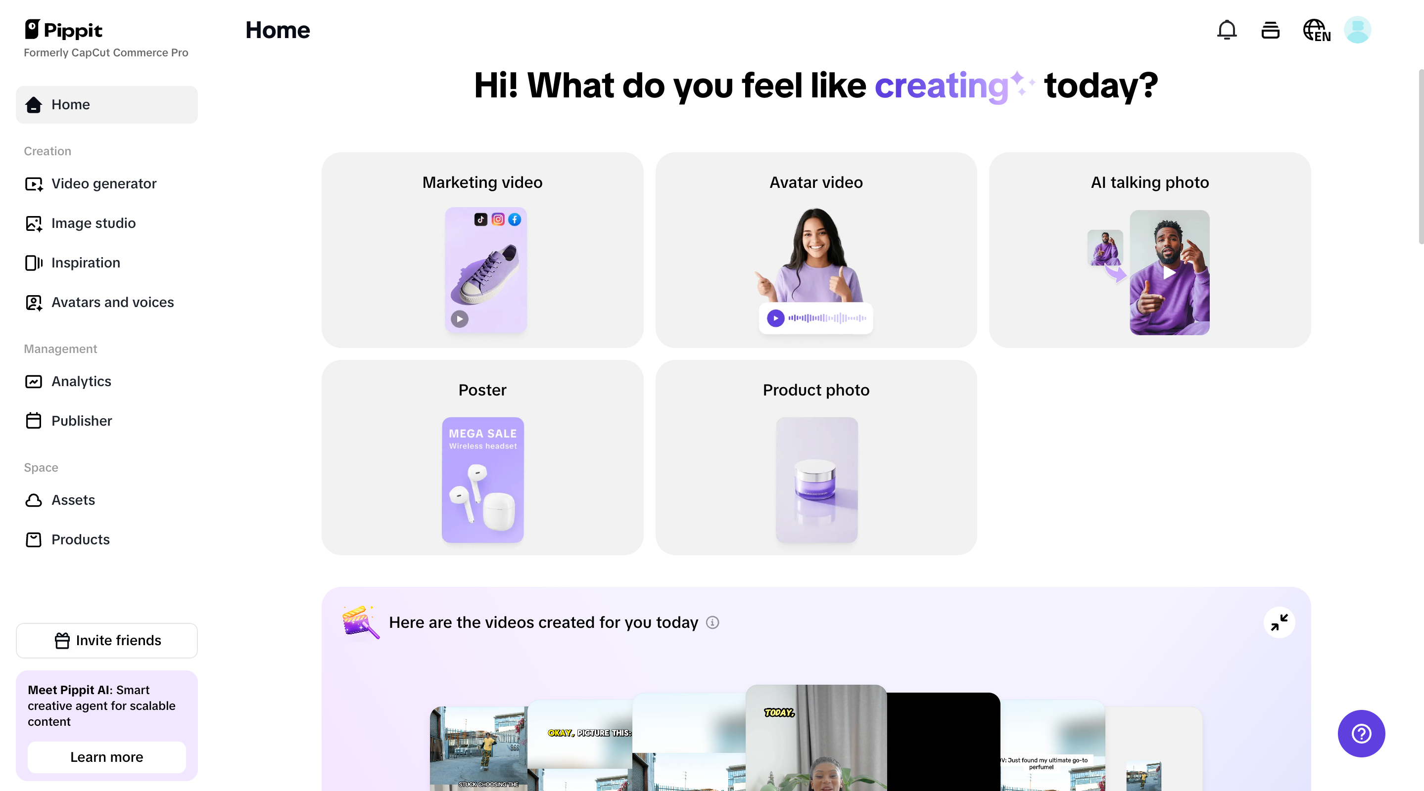 Pippit homepage