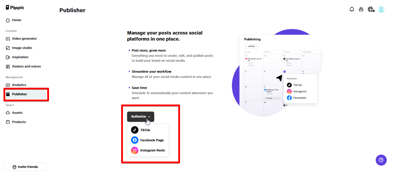Collegare i social a Pippit