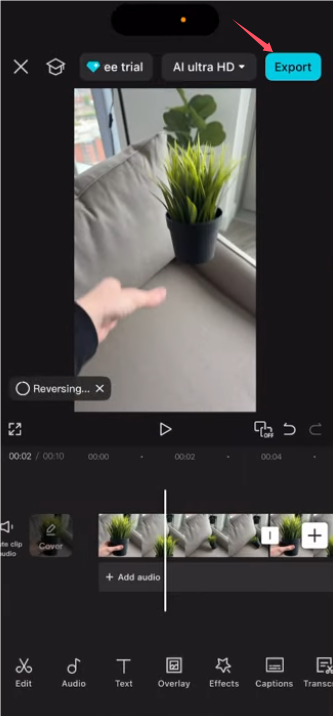 Exportera loopvideo på telefon