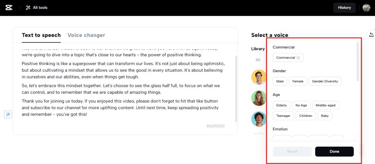 Voice filters
