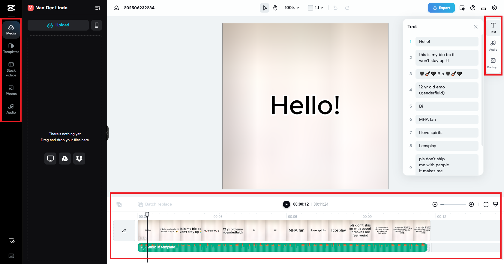 TikTok biyografi videonuzu özelleştirin