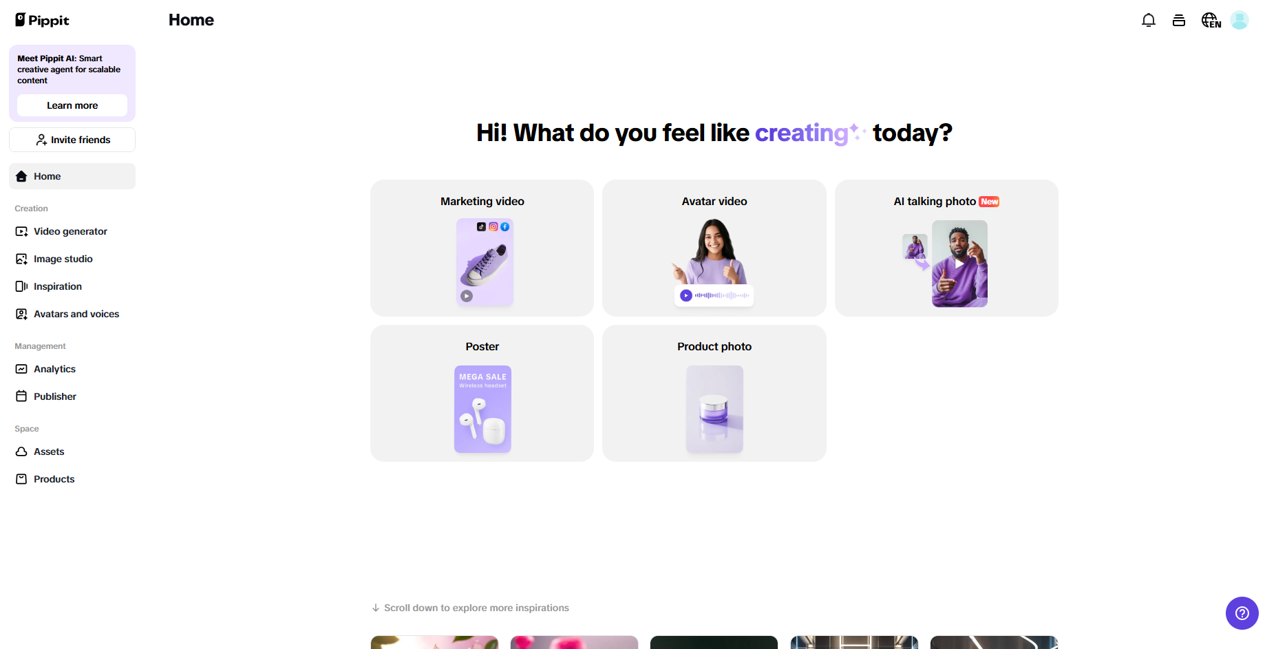 Pippit homepage