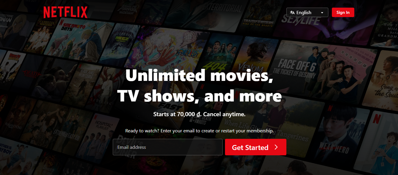Netflix のインターフェース