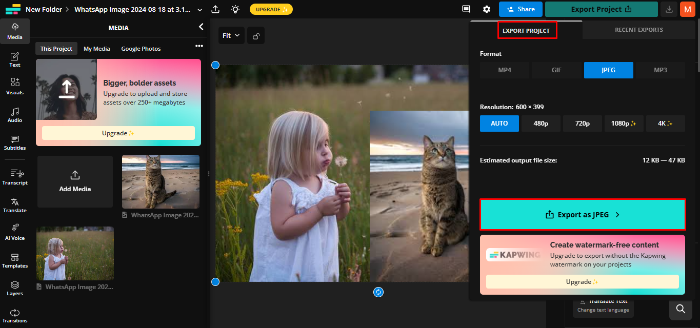 Exporting and sharing in Kapwing