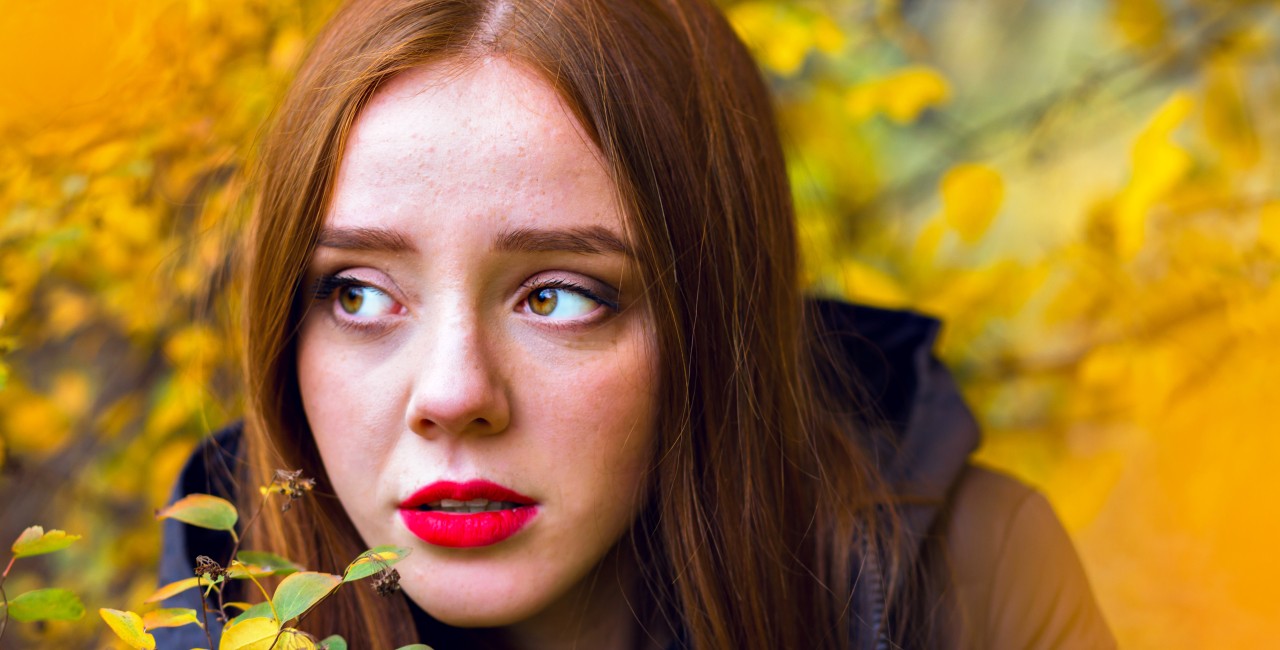 Raster vs Vetor: O que você deve saber antes de começar