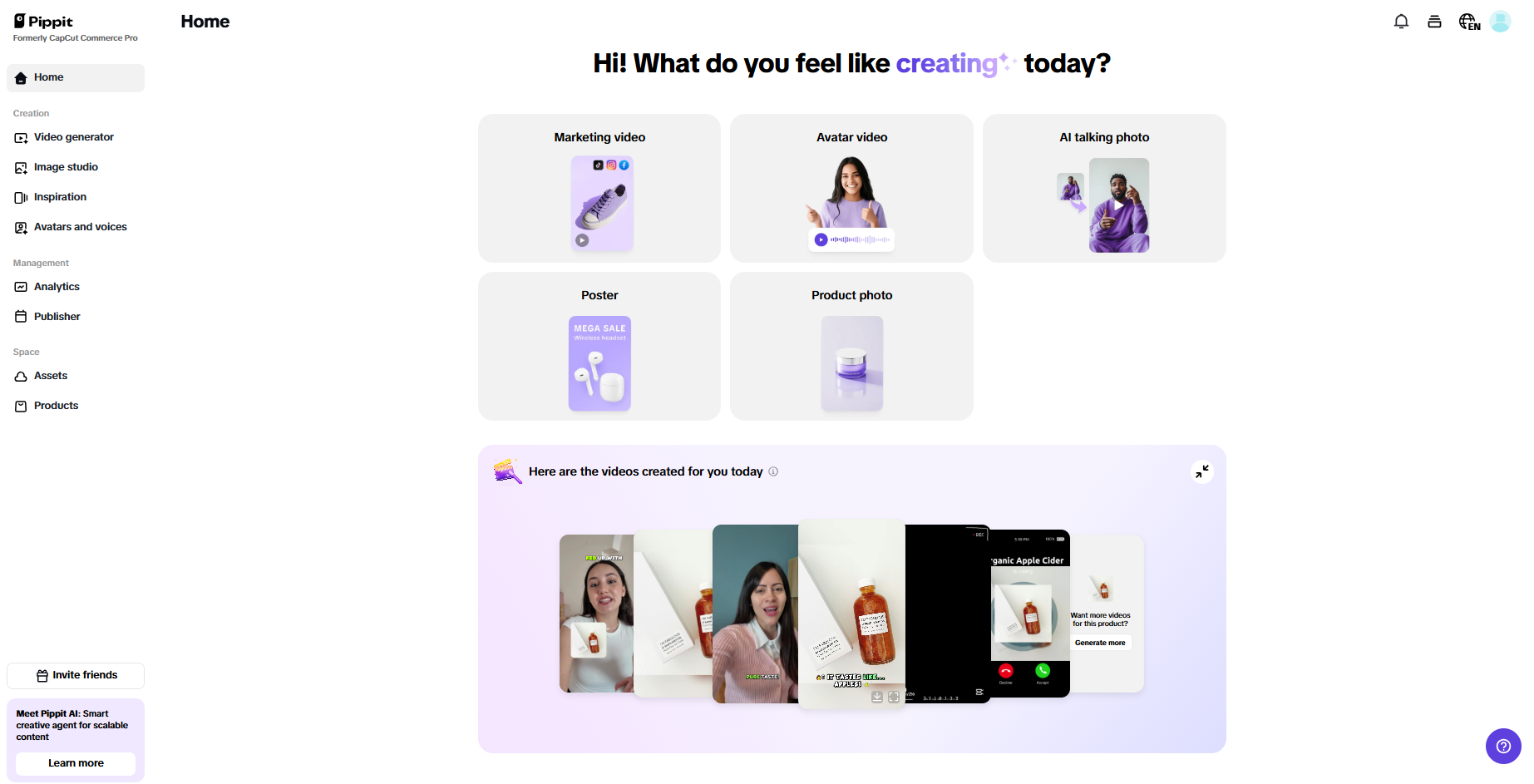 Pippit interface