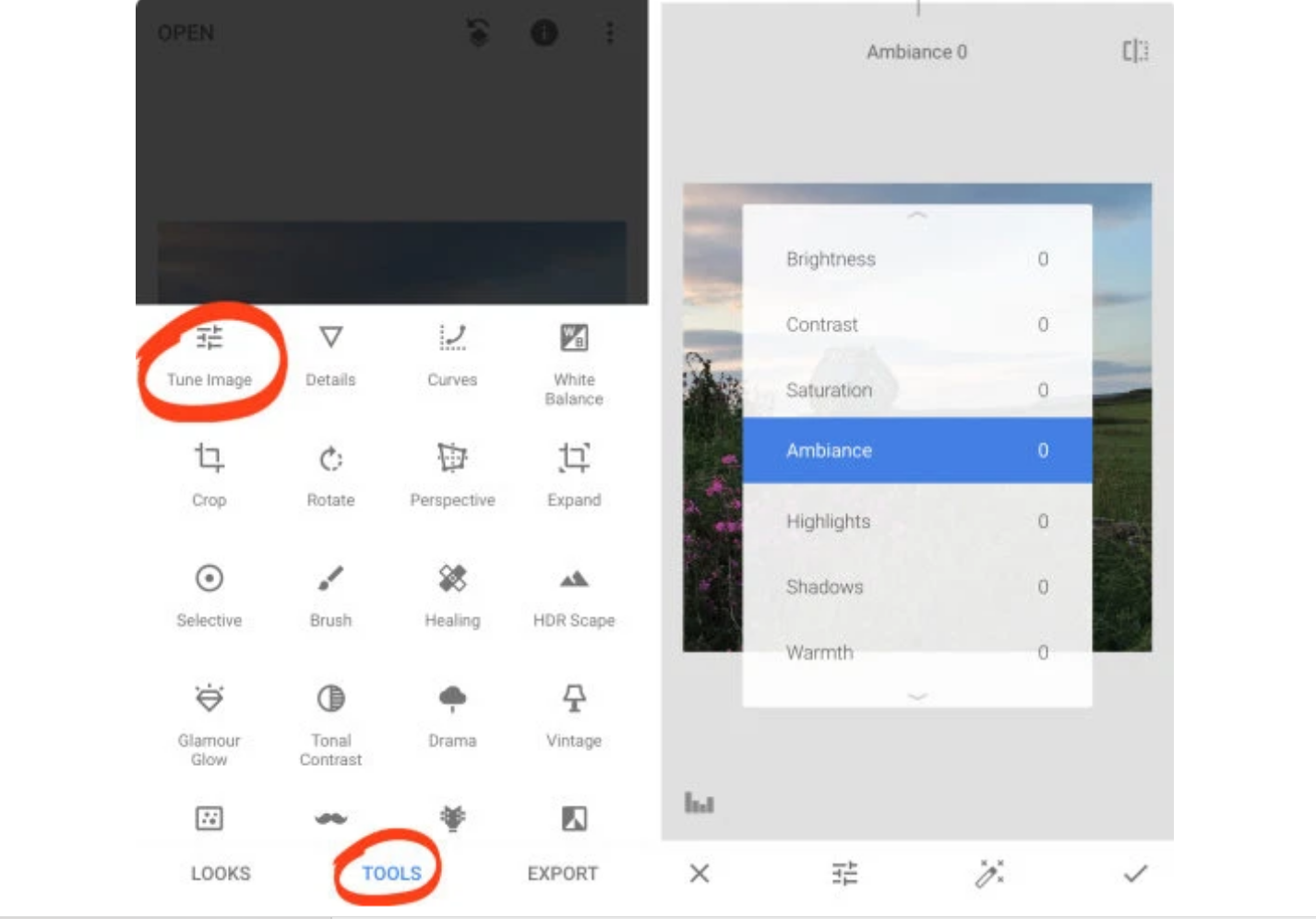 Editing the image with the Snapspeed photo editor