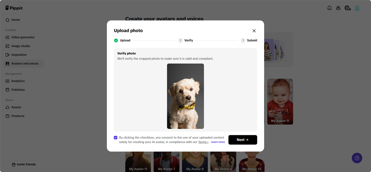 Upload your animal photo