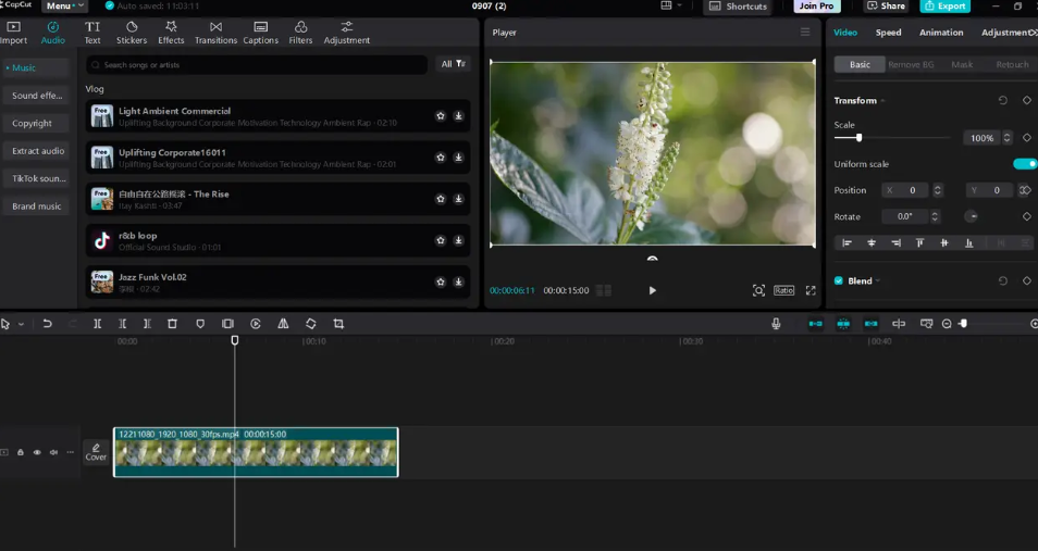 Create a Karaoke video in CapCut