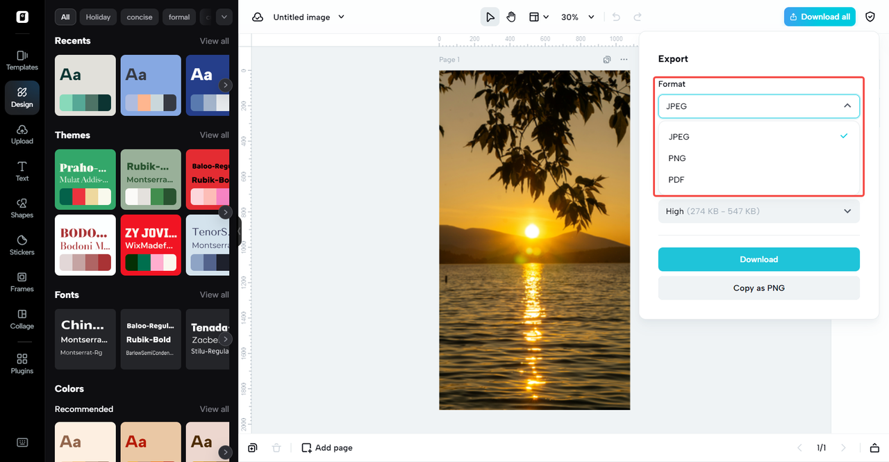 選擇您所需的輸出格式