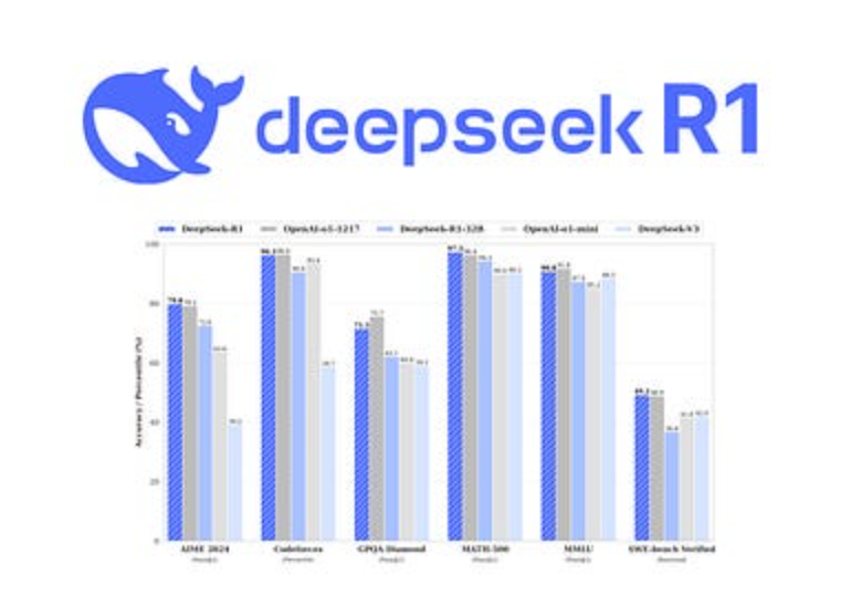 Gränssnitt för DeepSeek-R1