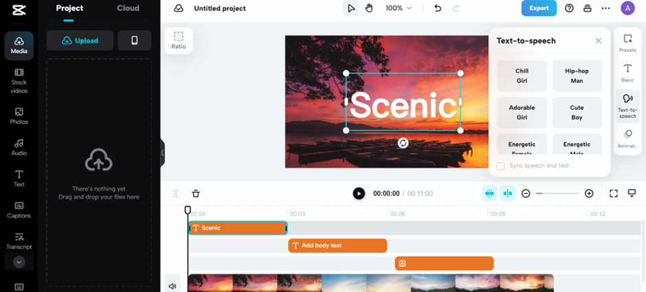 Online Text to Speech Conversion in CapCut