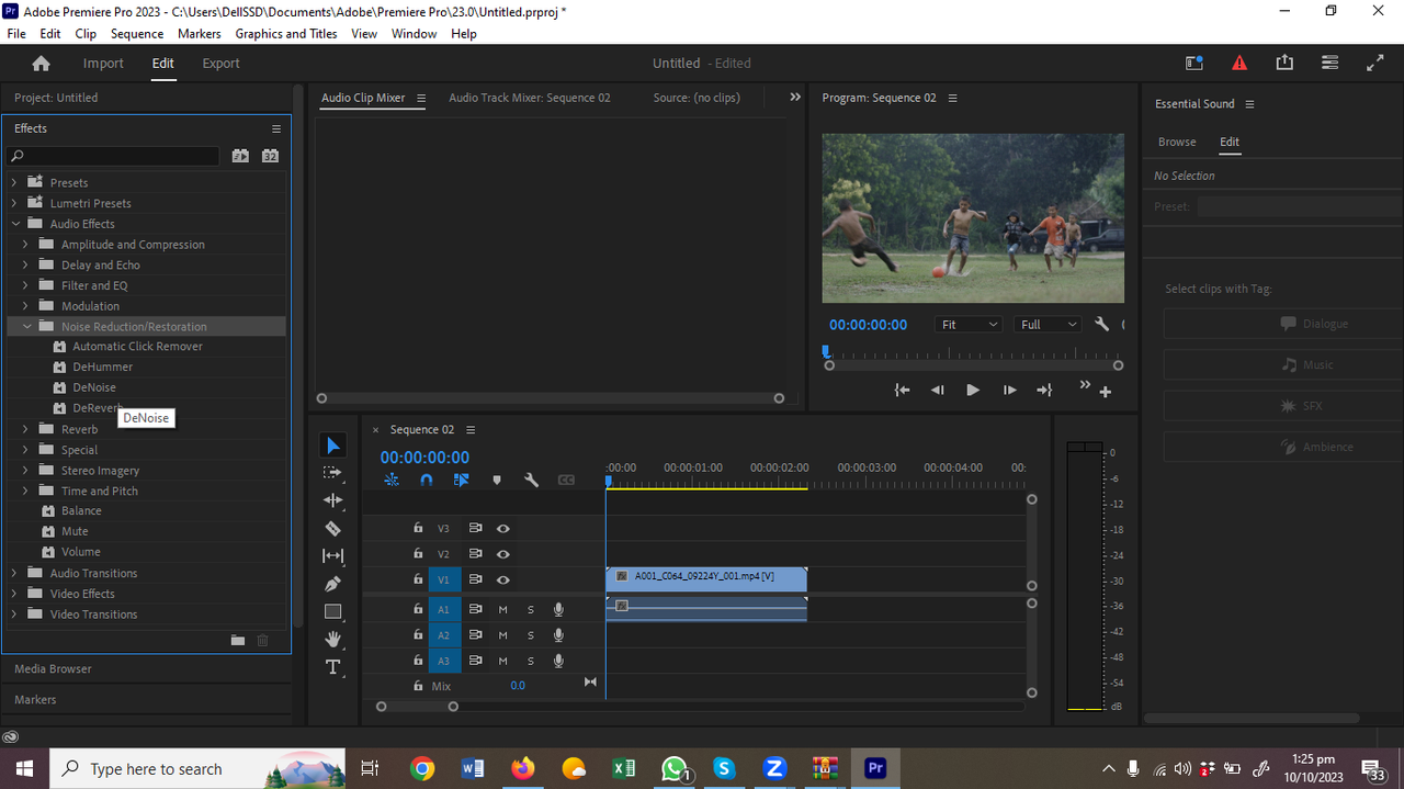 Check the DeNoise option and apply the needed effect to remove noise in Premiere Pro