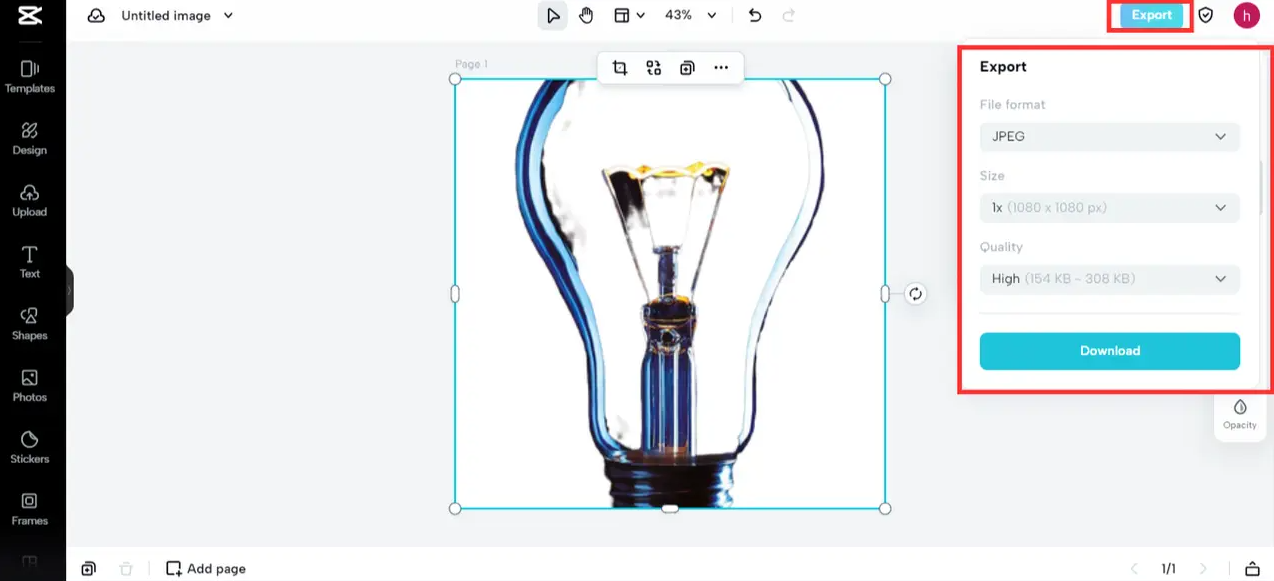 Export and download
