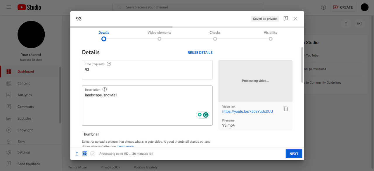 Add details, i.e., video title, description, thumbnail, playlist, age restriction, and audience