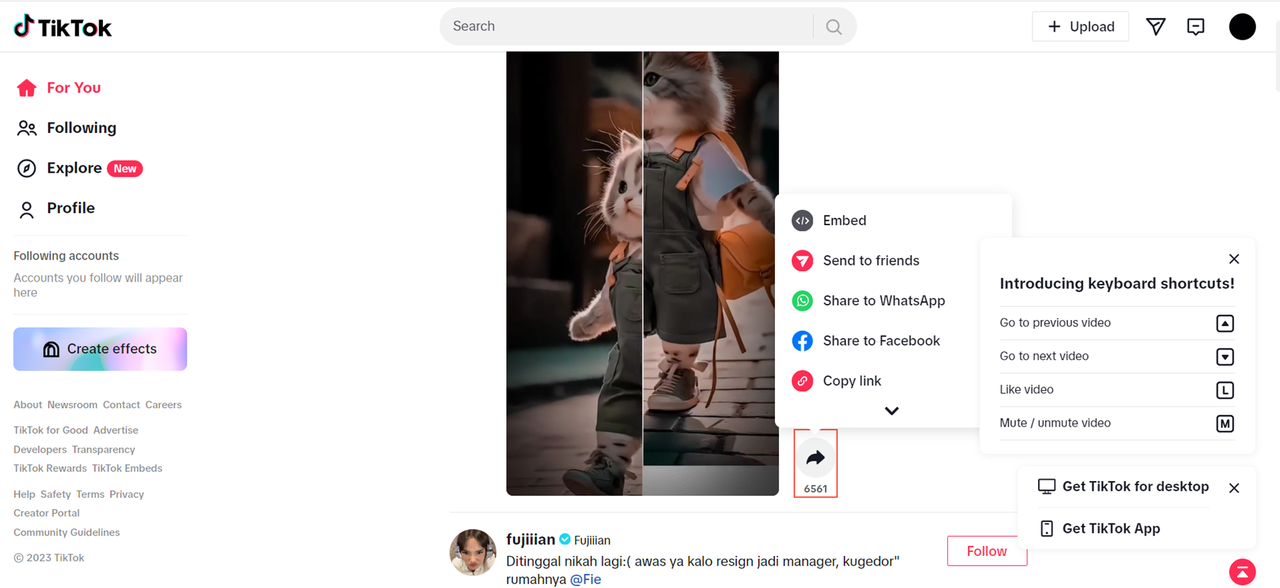 Load the TikTok app