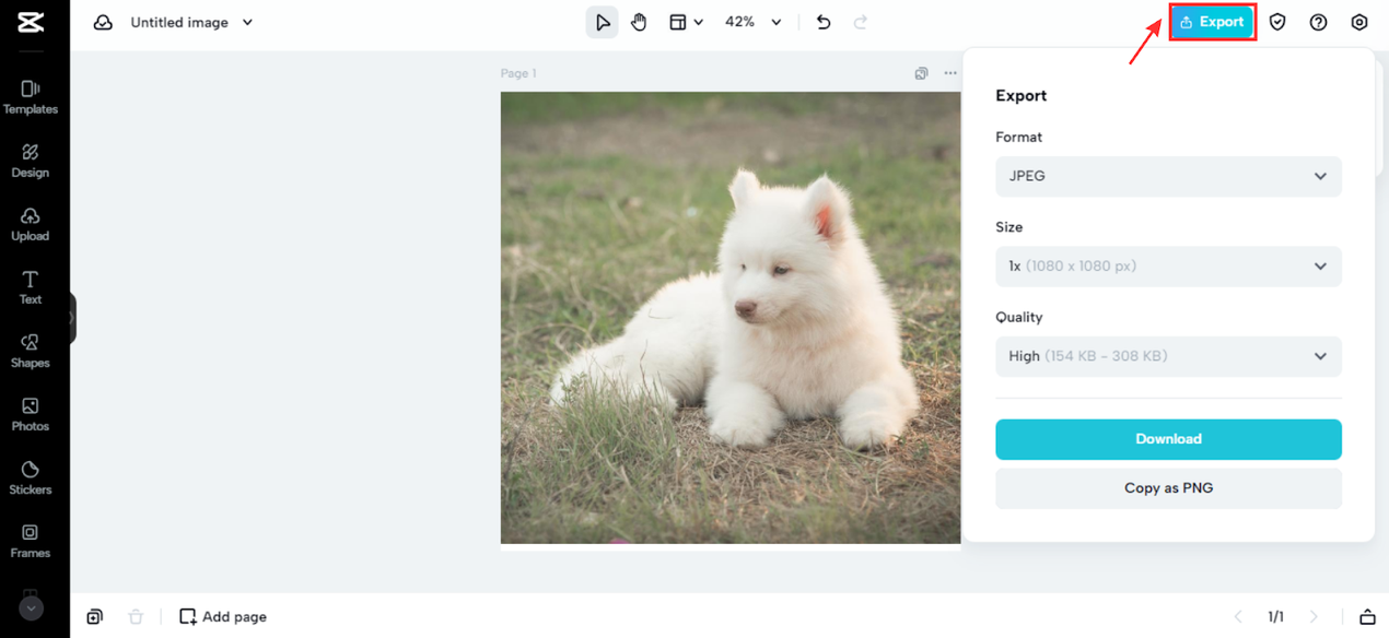 Export your photos