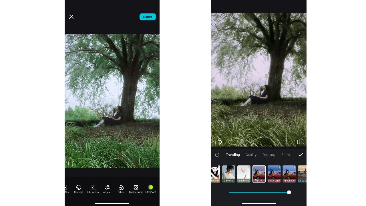 extensive filter and effect library