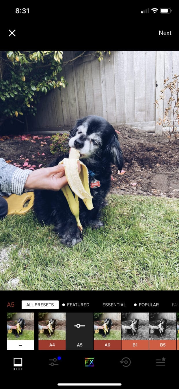 vsco