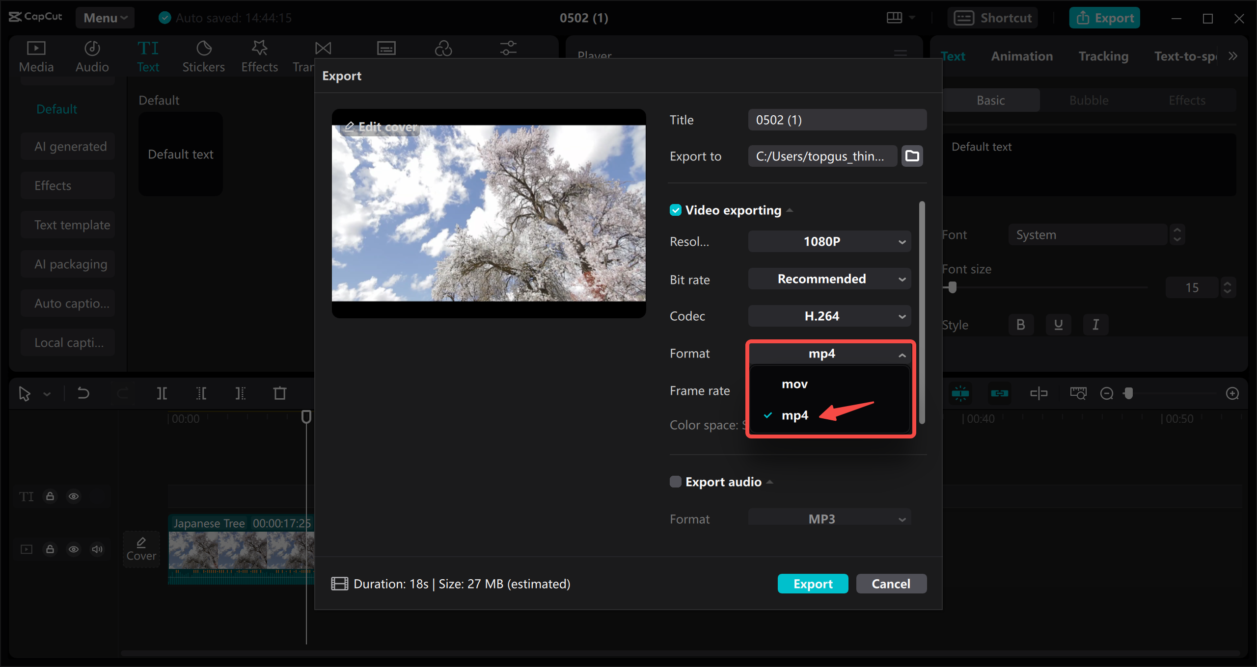 Export the MP4 video