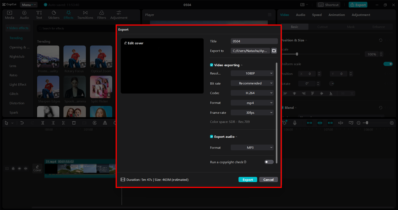 Advanced export options