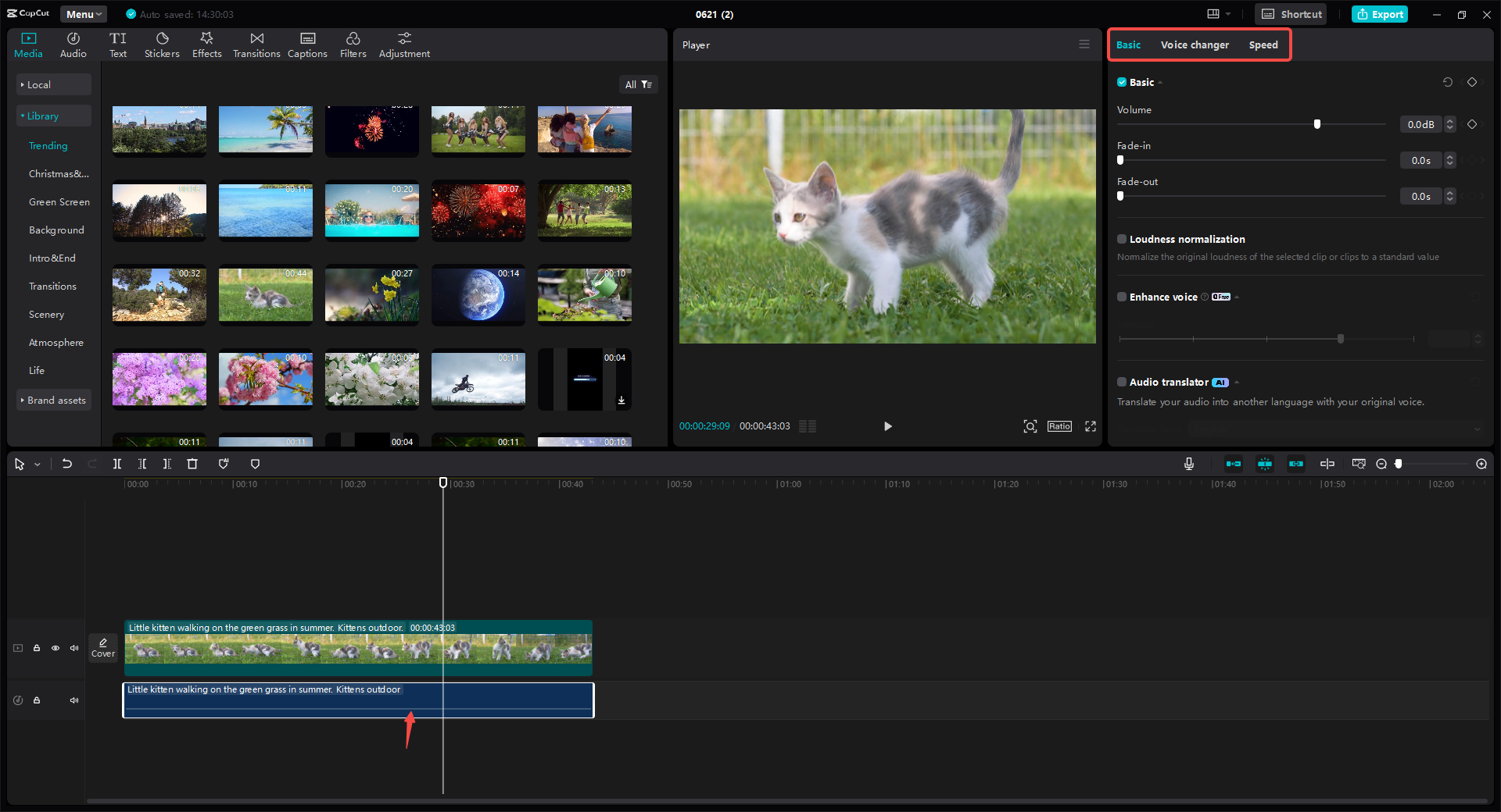 Edit the audio