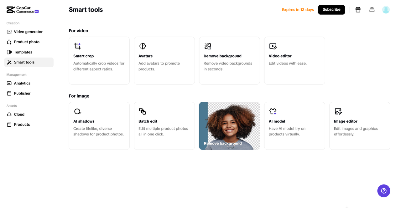 Pippit interface