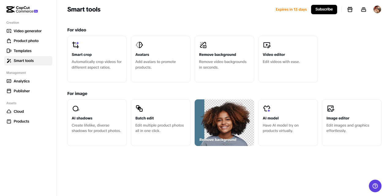 Pippit interface