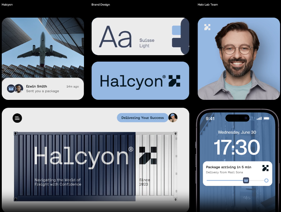 Branding della logistica Halcyon in griglia bento