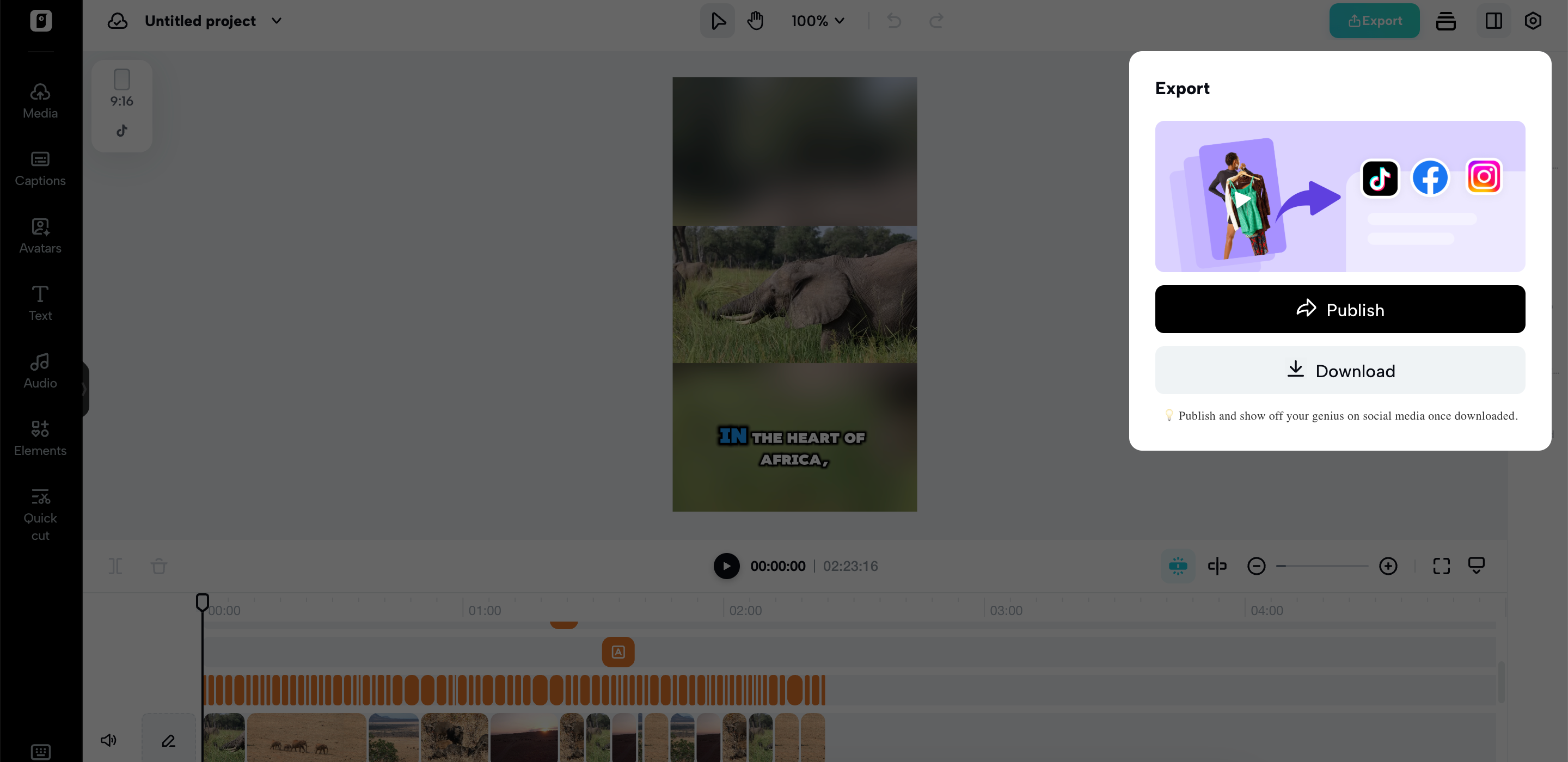 Export your video