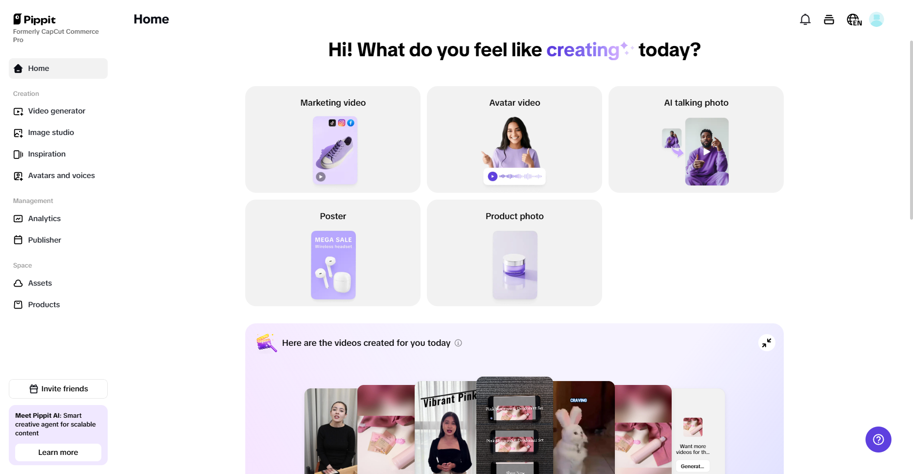 Pippit's interface