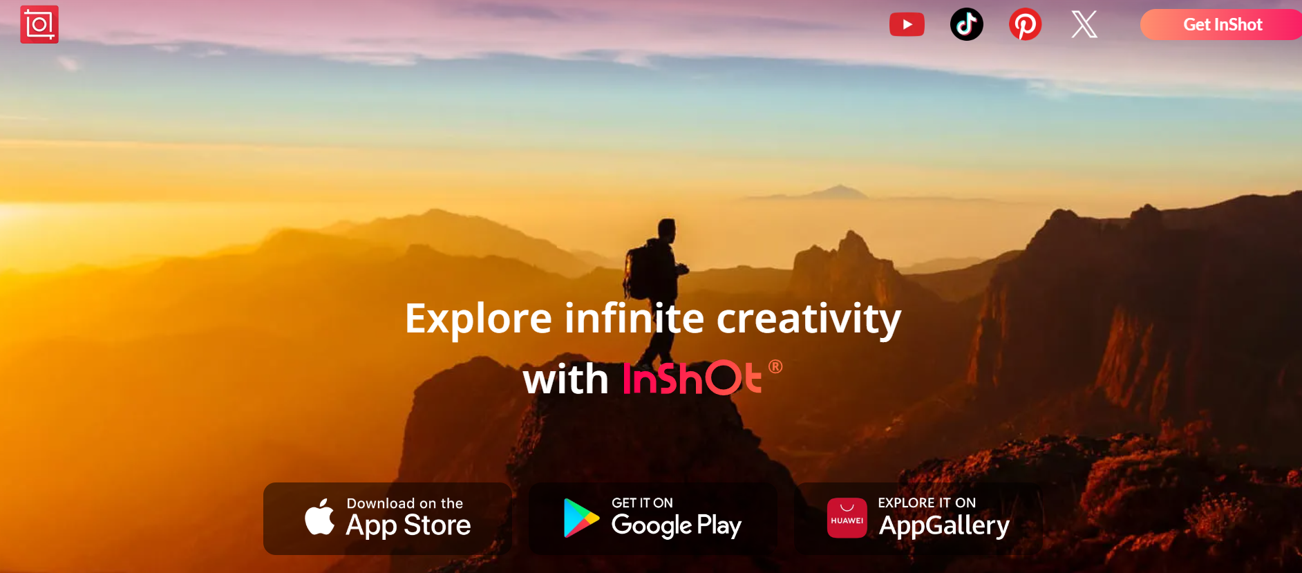 Inshot interface