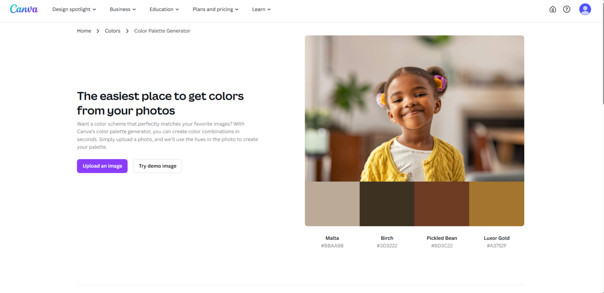 Interface of Canva - an efficient brand color generator
