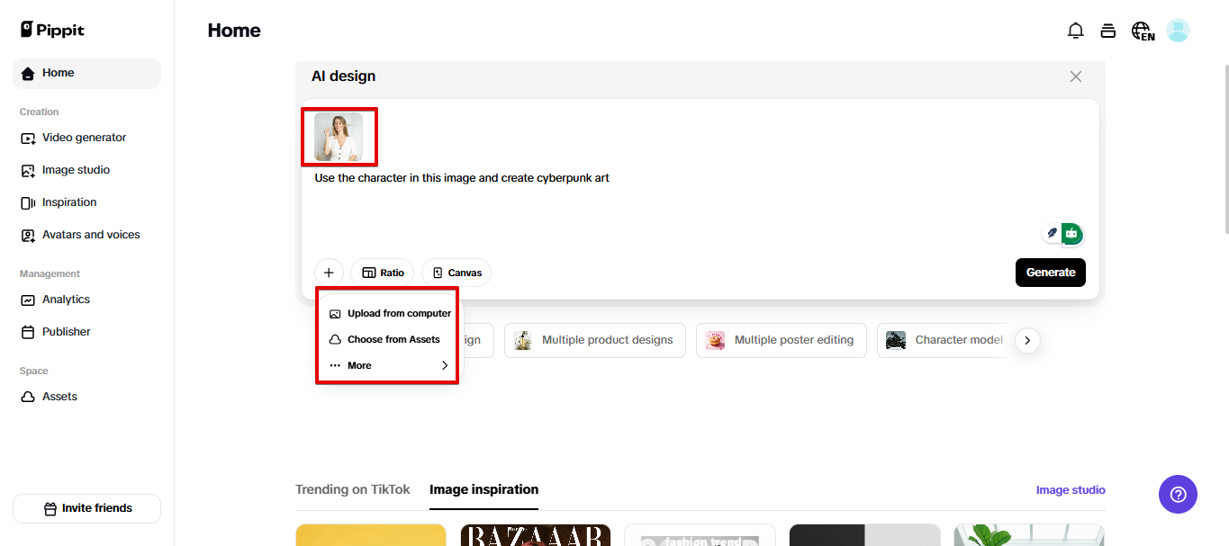 Image input support in Pippit