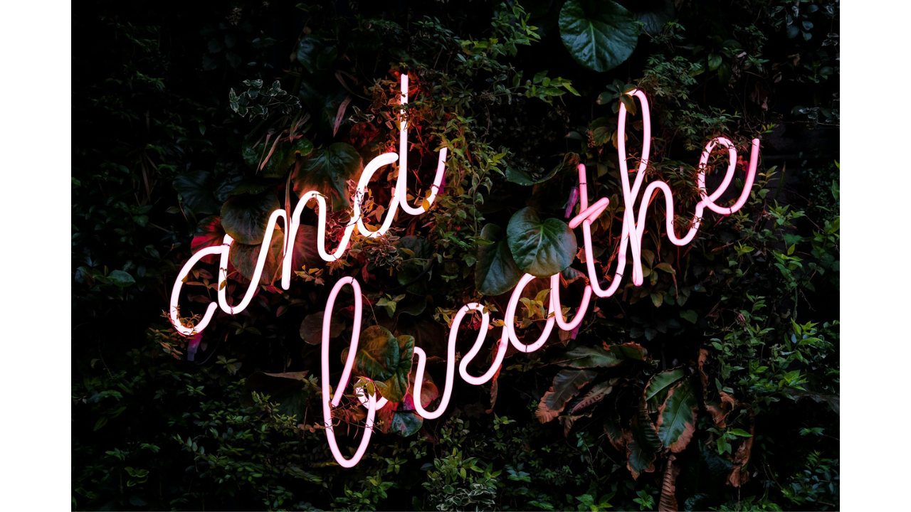 Kreativní způsoby, jak využít text k vylepšení vašeho vizuálního vyprávění.