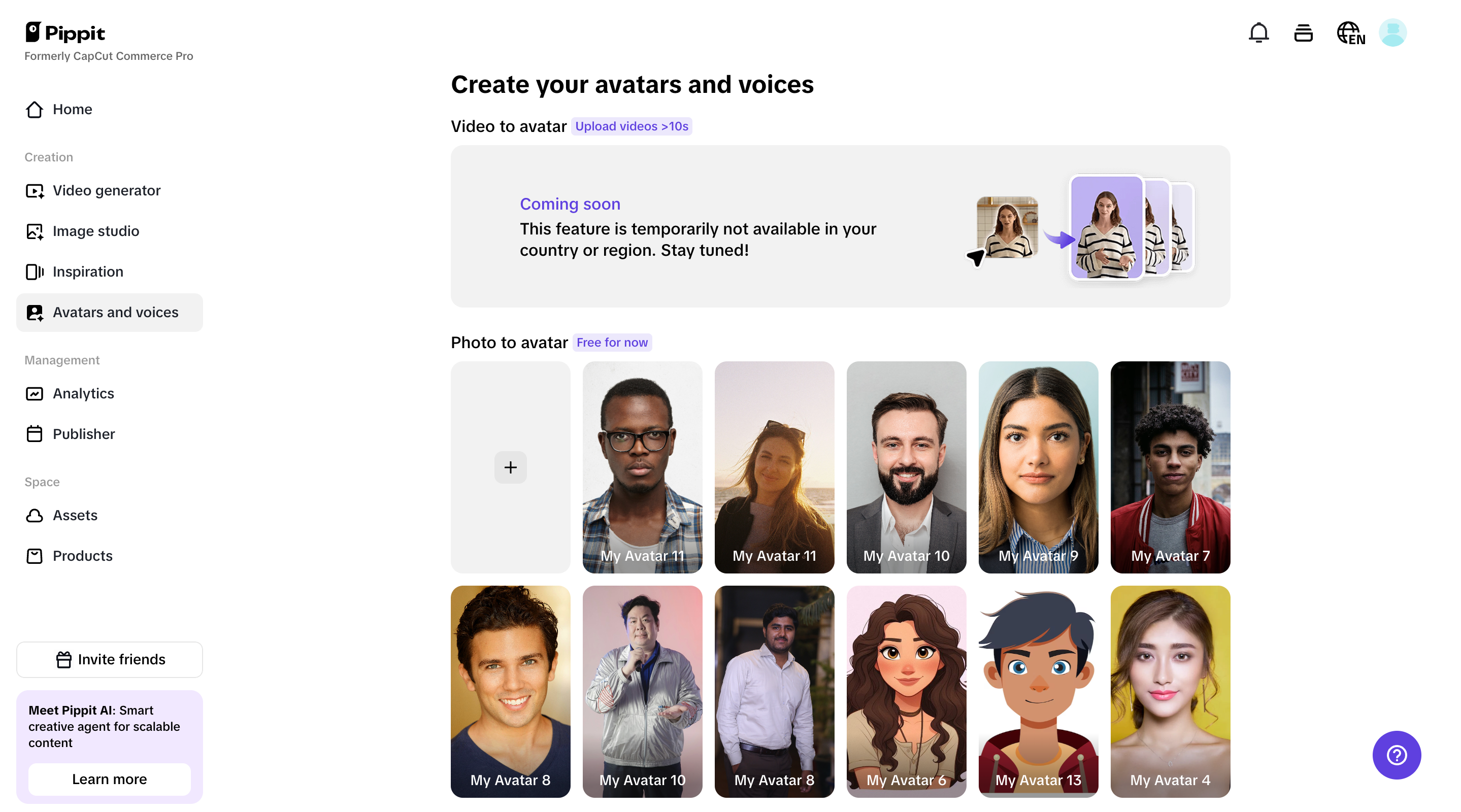 Avatars and voices