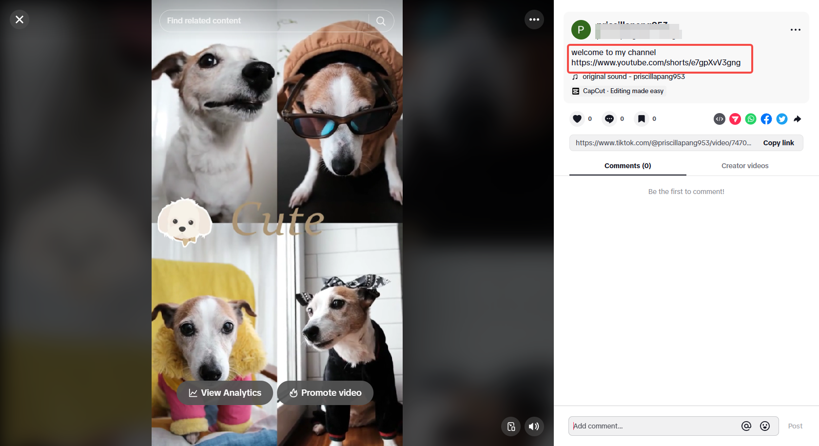 โปรโมตช่อง YouTube บน TikTok