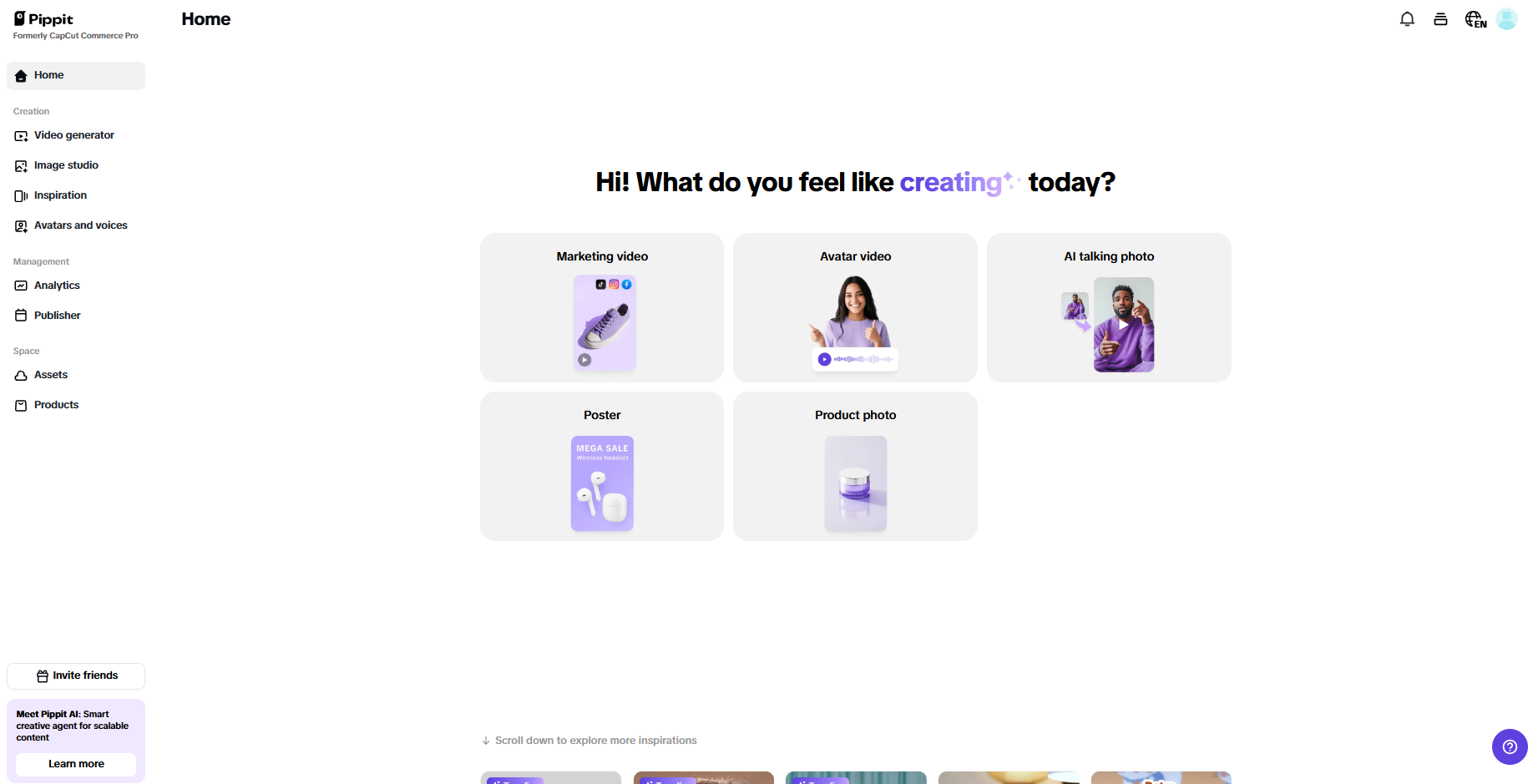 Pippit interface