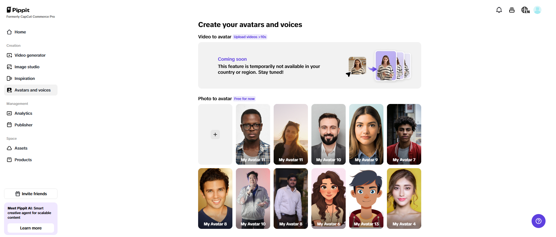 Avatars and voices