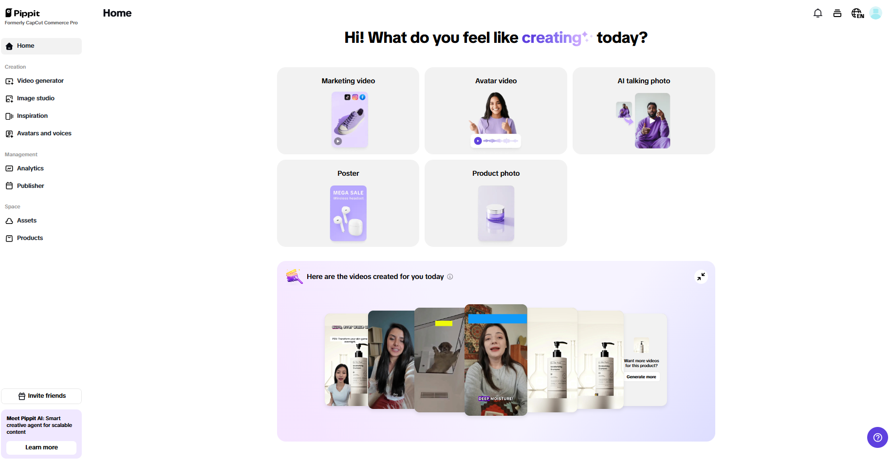 Pippit homepage
