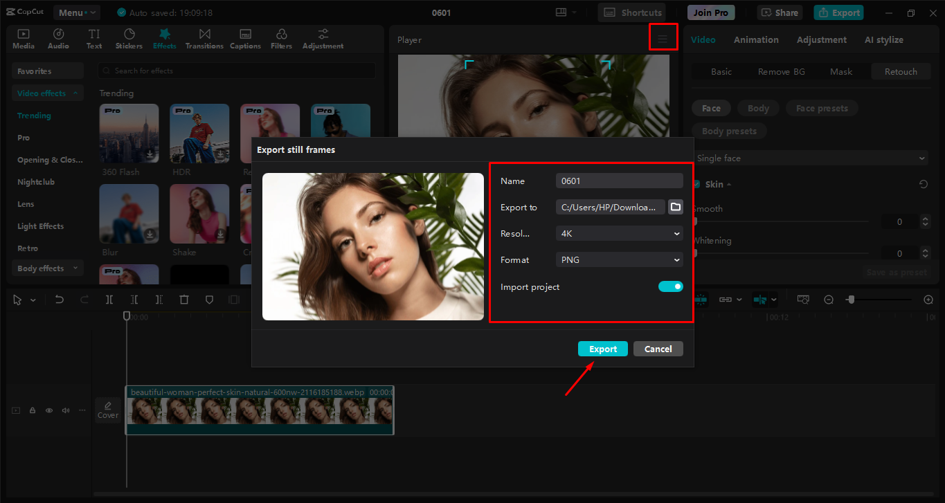 Export image or project in high resolution