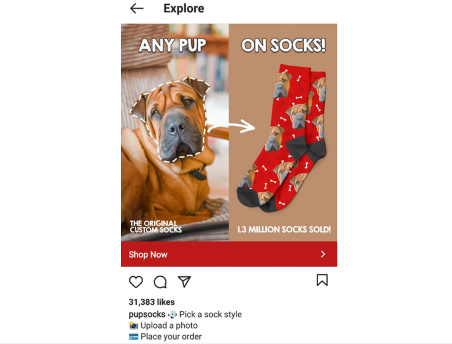 PupSocks': "Any pup face on socks"