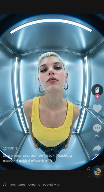 bg-shape-2