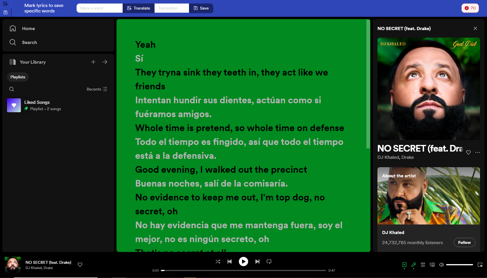 Spotify lyrics translation